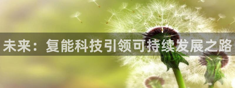 金年会网站多少