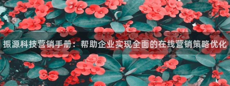 金年会体育一直输