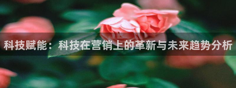 金年会网站提现一直显示审核当中怎么办