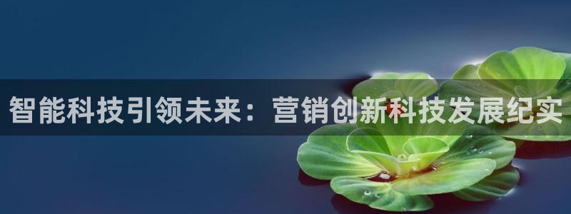 金年会体育app官网入口网址