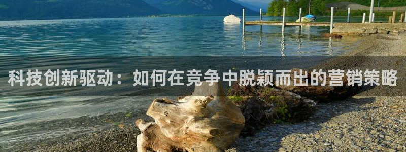 金年会pg麻将胡了几张牌