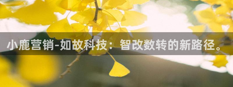 金年会电子游戏