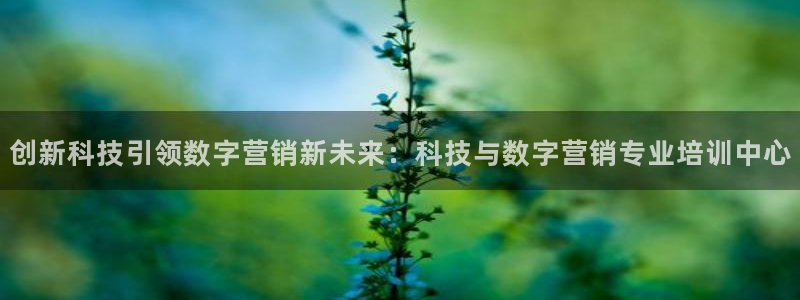 金年会信誉至上金字招牌