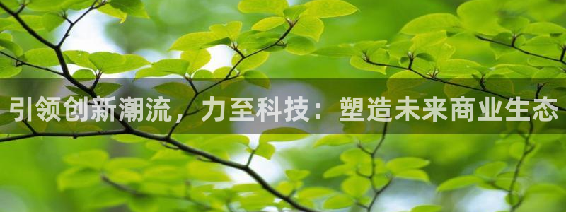 金年会官方平台