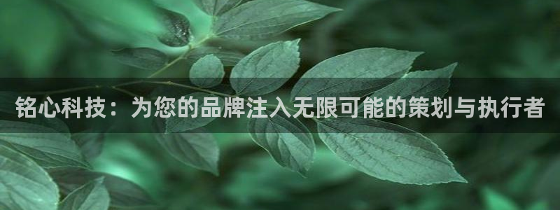 今年会金年会