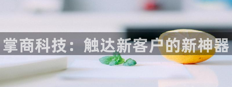 金年会体育app最新官网