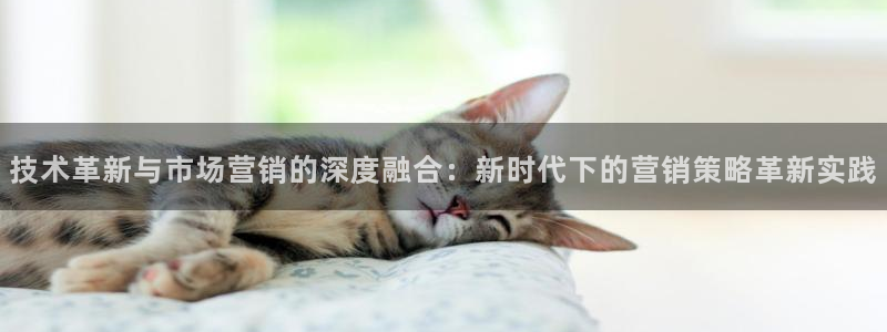 金年会网址有吗