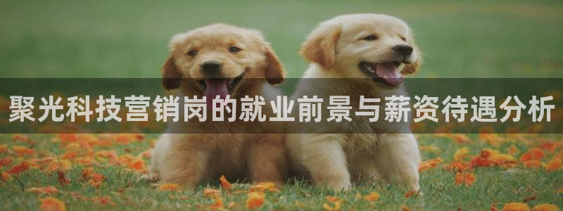 金年会信誉至上金字招牌