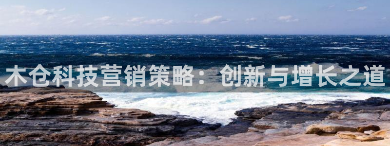 金年会体育app平台怎么样