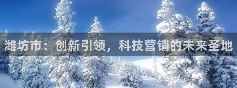 金年会金字招牌登录入口评测
