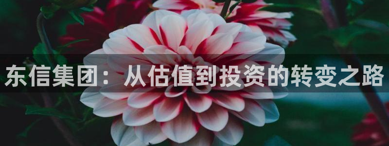 金年会体育官方平台下载