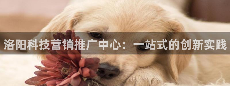 金年会官方下载app