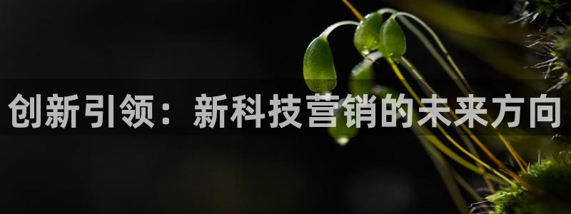 金年会赌博官网
