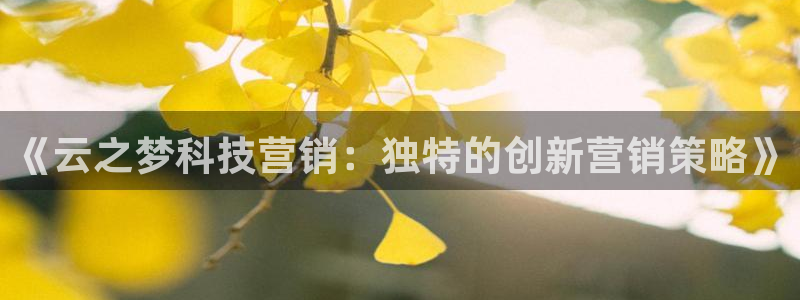 金年会平台是黑网还是白网