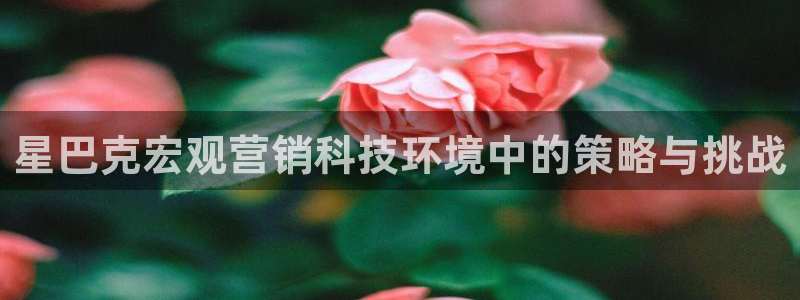 金年会在线入口2023