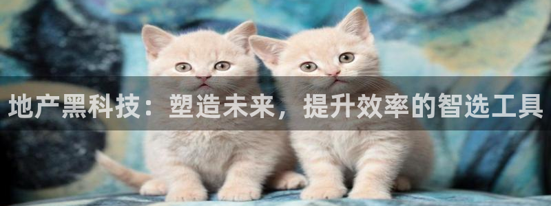 金年会官方网站入口登