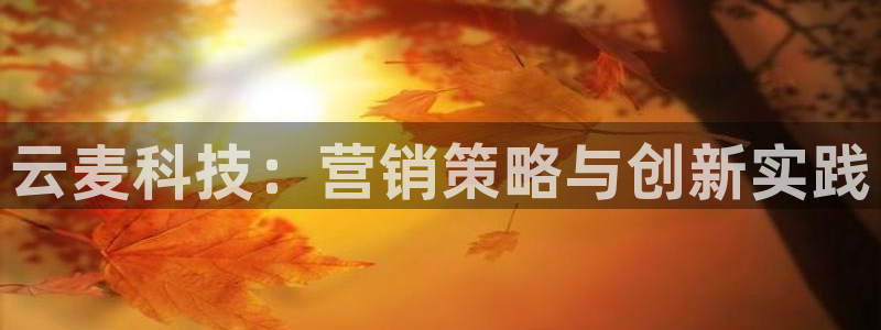 金年会app登录官网入口