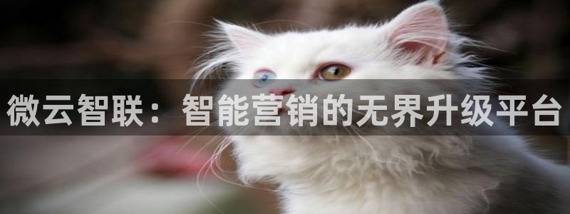 金年会官方在线登录网站