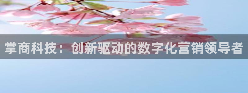 金年会官方在线入口网站查询