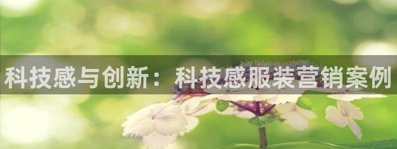 金年会登录网址