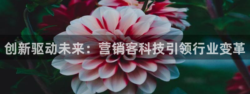 金年会官方登录入口手机版app