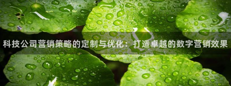 金年会体育在线