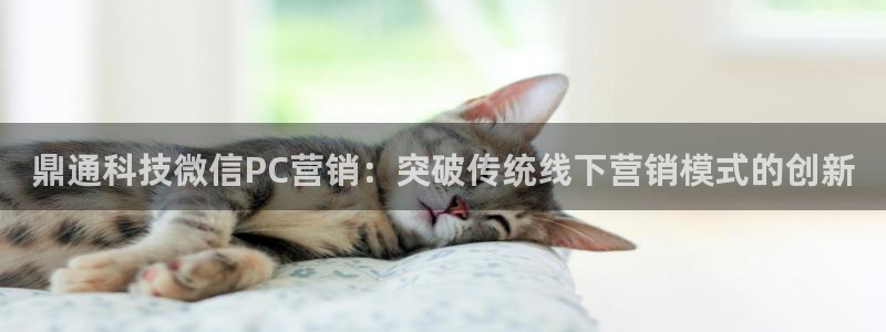 金年会pp电子