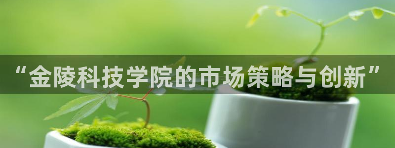 金年会会员登录页面