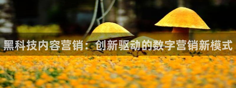 金年会·会官方入口登录