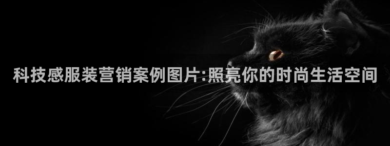 金年会体育网址是多少