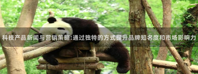 金年会体育手机app下载官网最新版