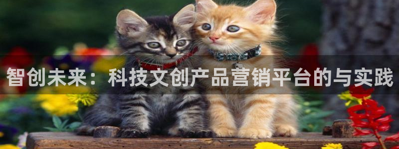 金年会网站怎么样