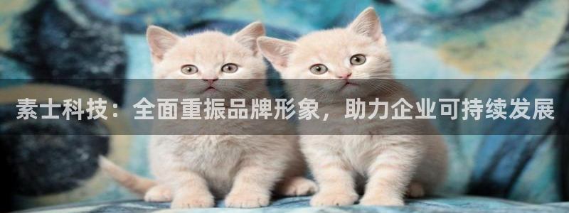 金年会金字招牌信誉至上是黑平台吗