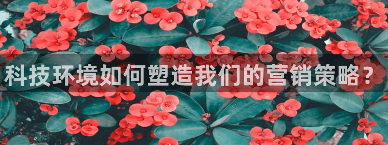 金年会体育苹果下载app