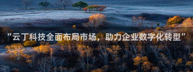 金年会官方平台官网