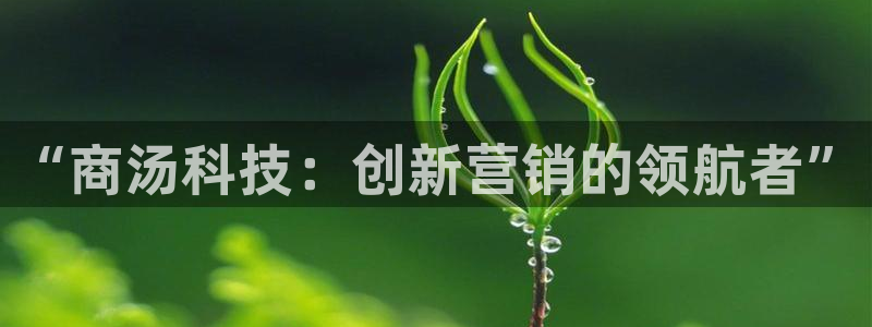 金年会官方在线