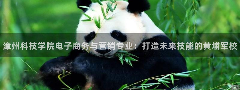 金年会体育平台新地址