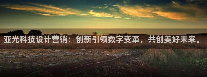 金年会官方网站首页入口下载