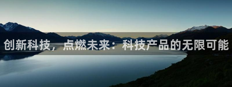 金年会官方在线入口网址查询