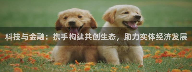 金年会官方网址查询