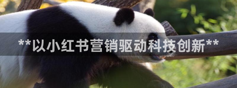 金年会app官方网站是什么