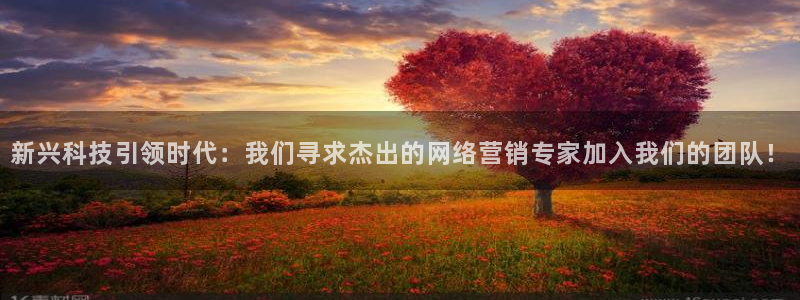 金年会体育综合App