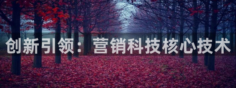 金年会体育app官网